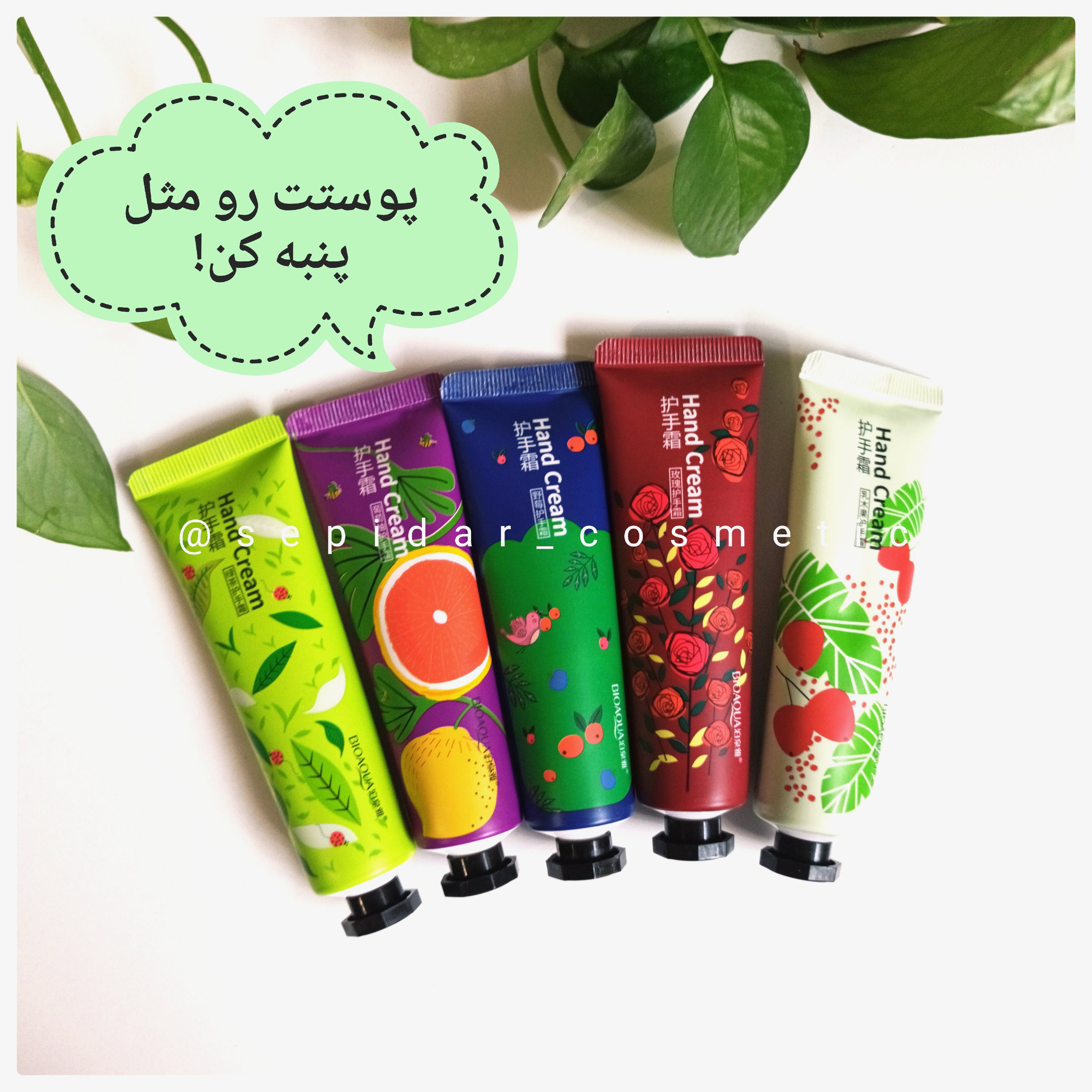کرم مرطوب کننده پوست برند بیوآکوا مدل میوه ای (تک عددی)