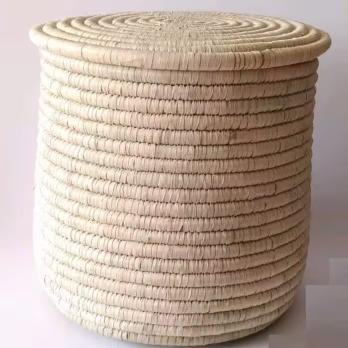 نظم دهنده  حصیری