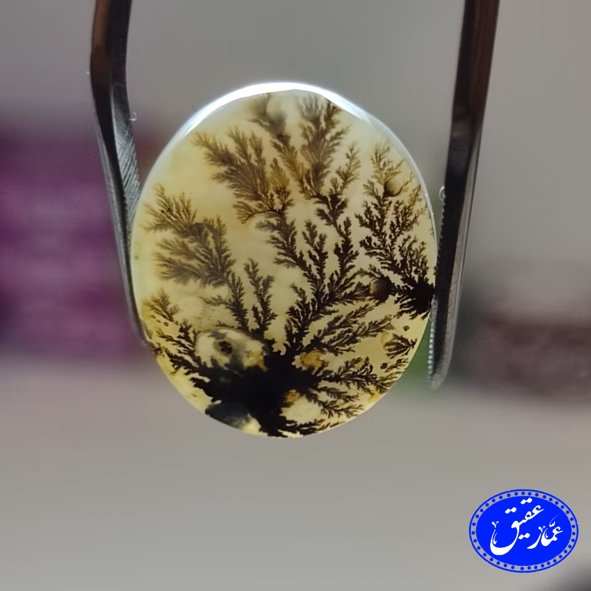 نگین عقیق شجر تمام سنگ گل