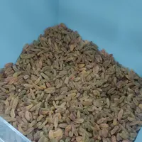 کشمش سبز