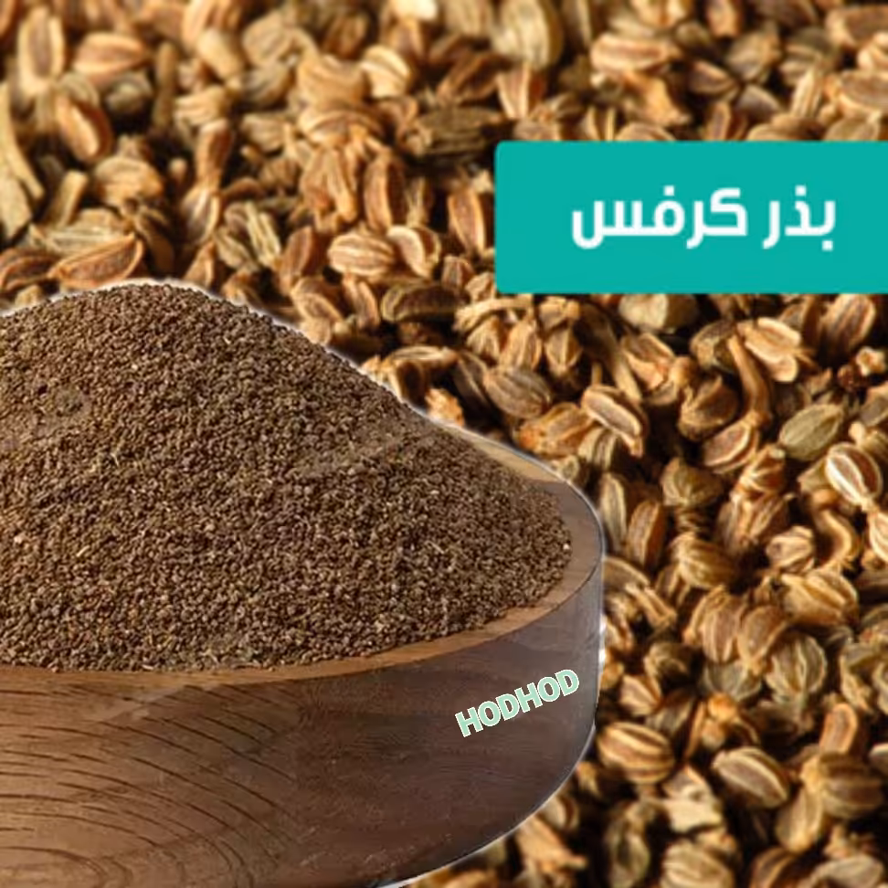 تخم کرفس