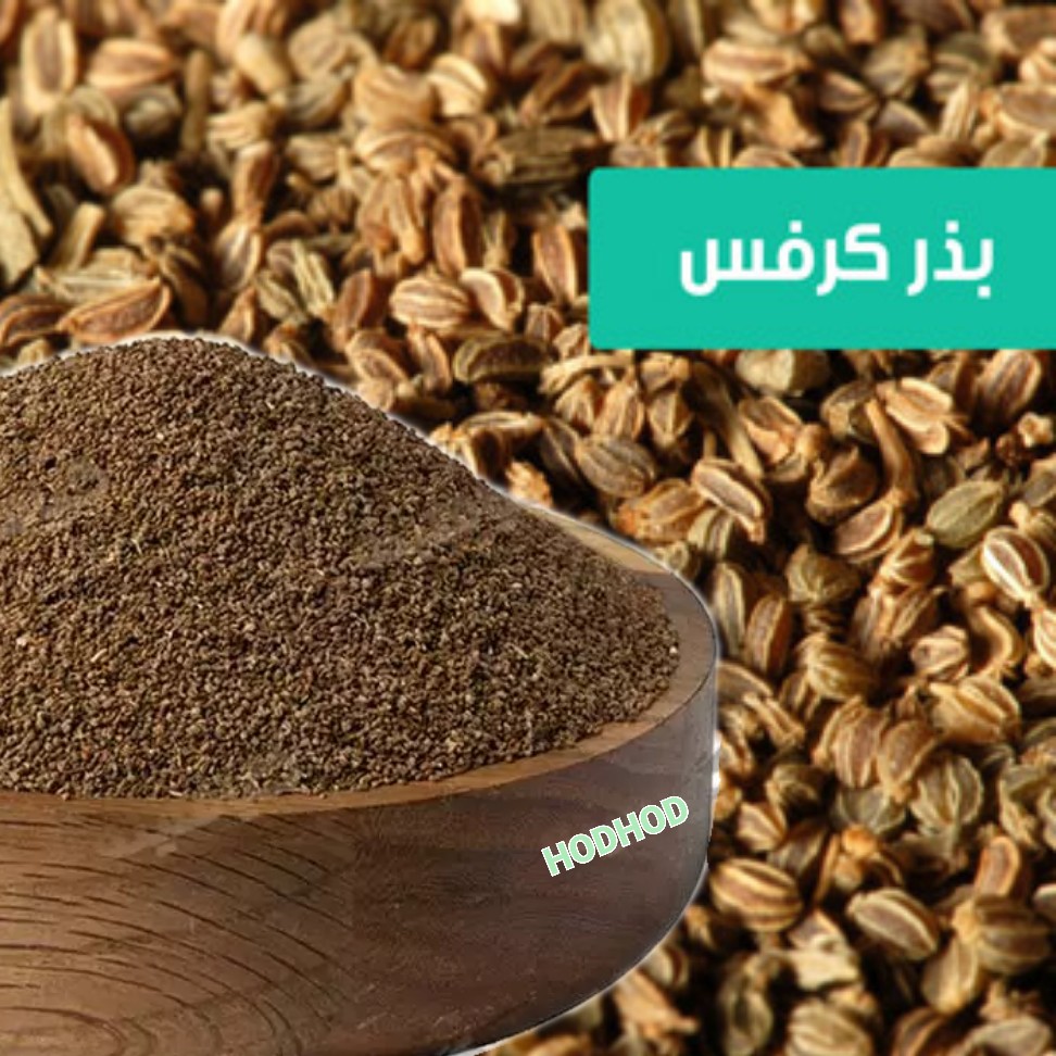 تخم کرفس