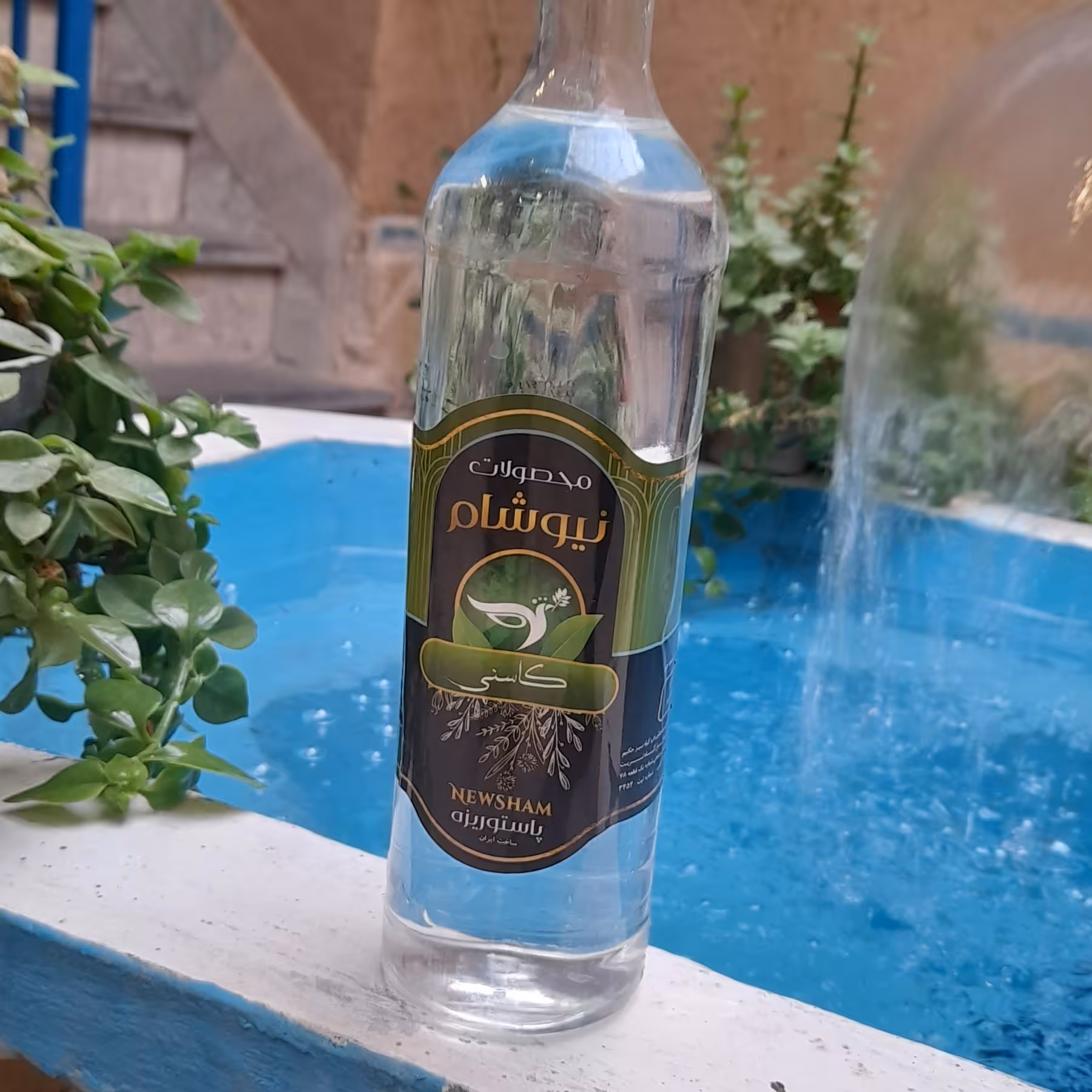 عرق کاسنی( کاملا طبیعی) 