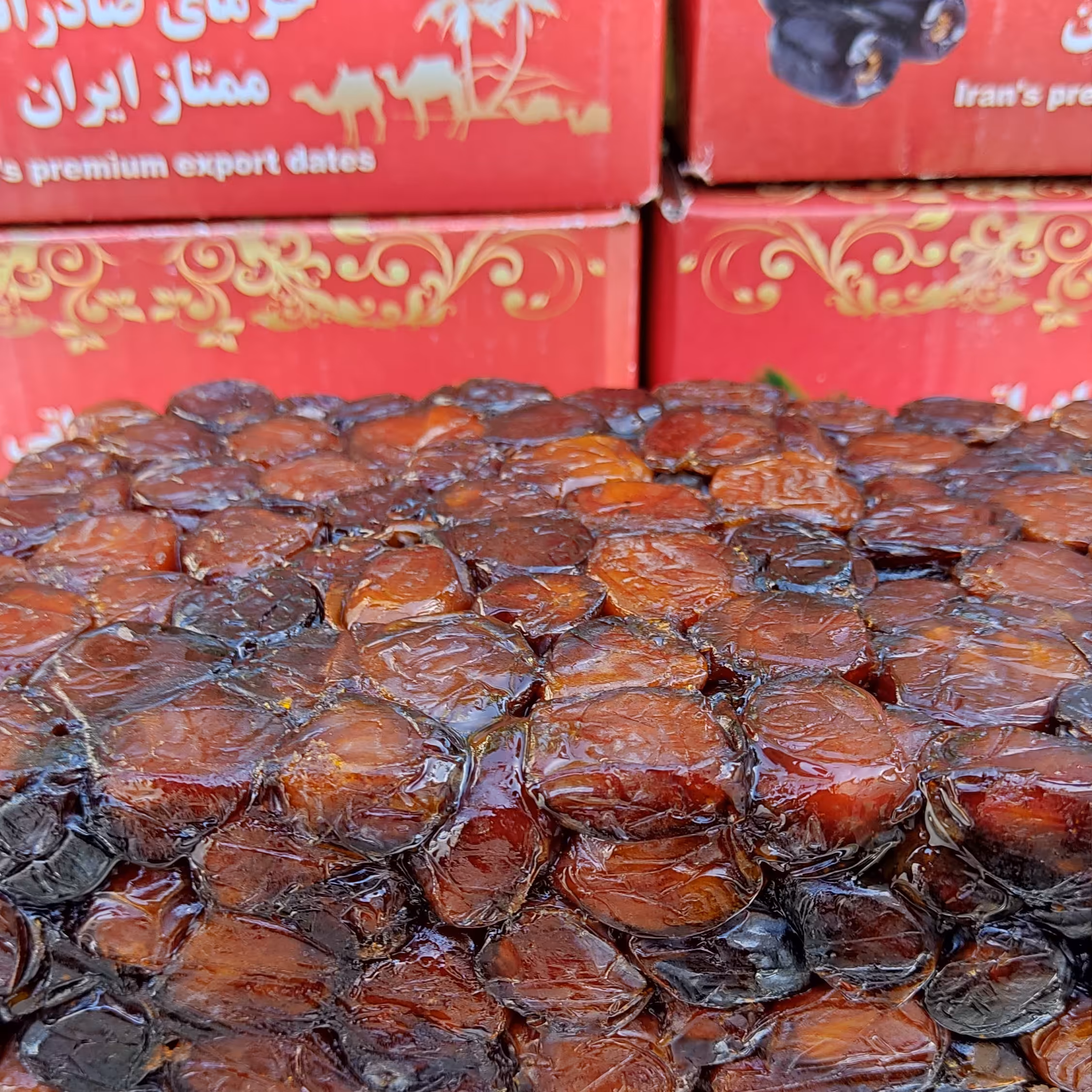 شیره خرما درجه یک ارگانیک و غلیظ 