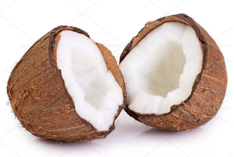 عکس نارگیل | گرافیک با طعم تربچه