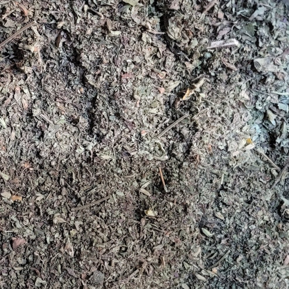 بادرنجوبه سبز