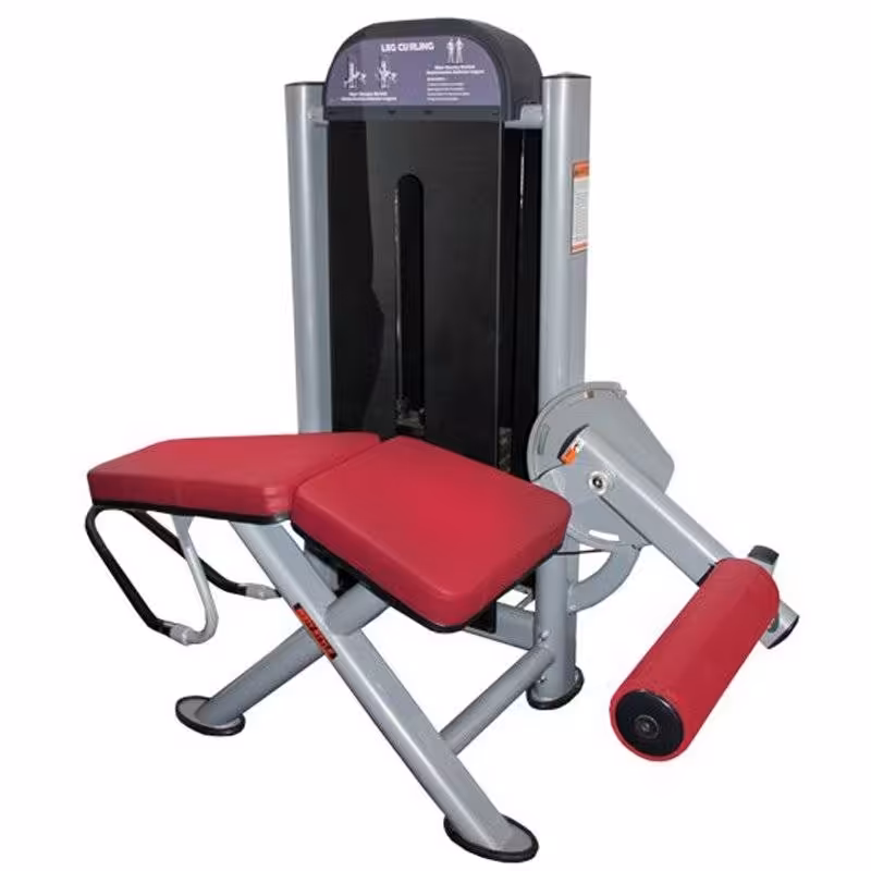 دستگاه پشت ران تن آسا Tanasa power-125