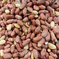 بادام زمینی آستانه درشت شور  300گرمی