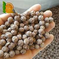 نخودچی با روکش شکلاتی ممتاز 500 گرمی