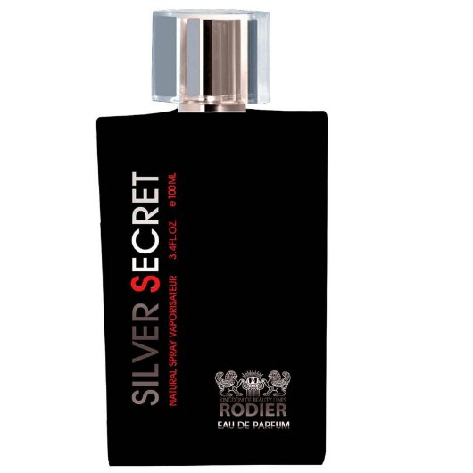 ادکلن مردانه رودیر  مدل Silver Secret حجم 100 میل 