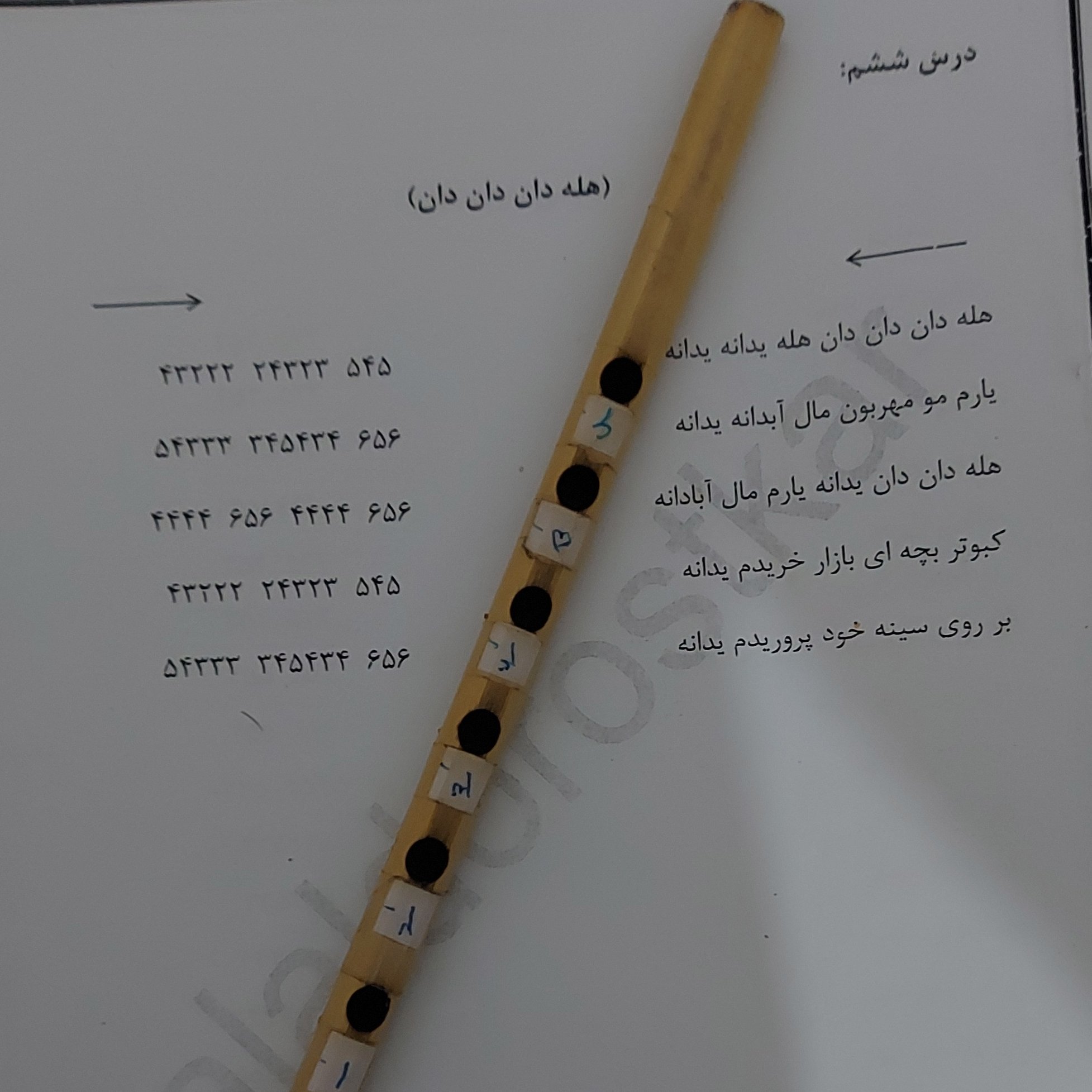 فقط (جزوه) آموزشی نی تکی و نی انبان(چاپی)