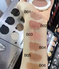 رژگونه گیاهی پودری شون سری Charming شماره B03