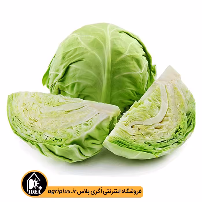 بذر کلم پیچ بسته بندی خانگی