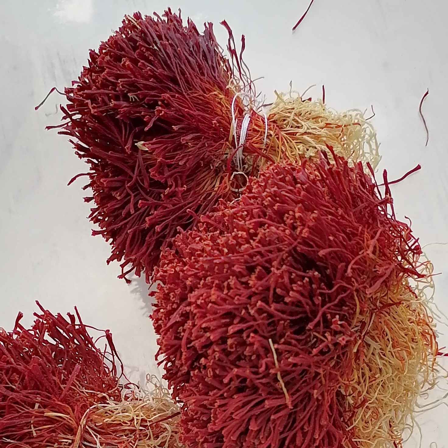 زعفران دسته دختر پیچ قاینات