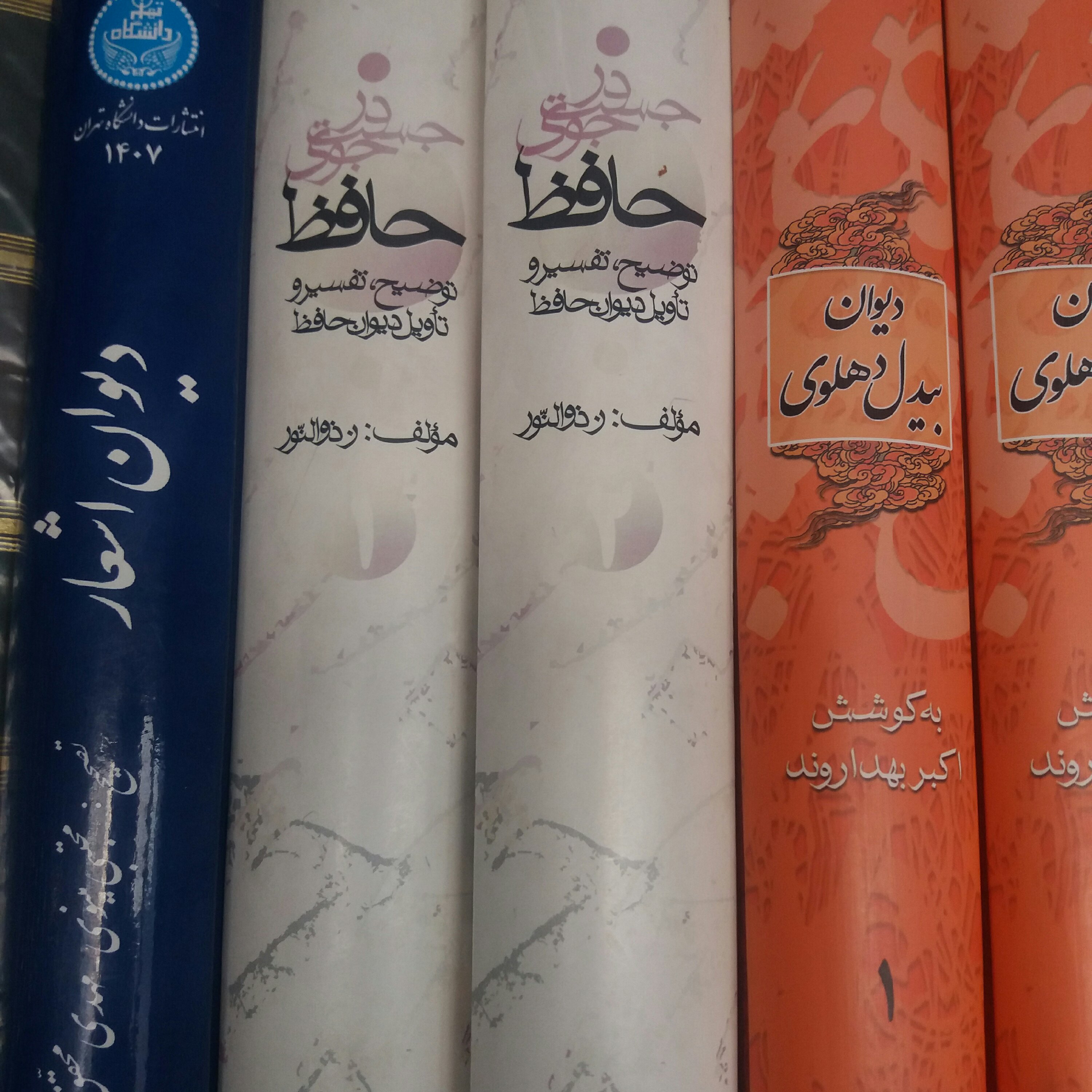 کتاب در جستجوی حافظ دو جلدی