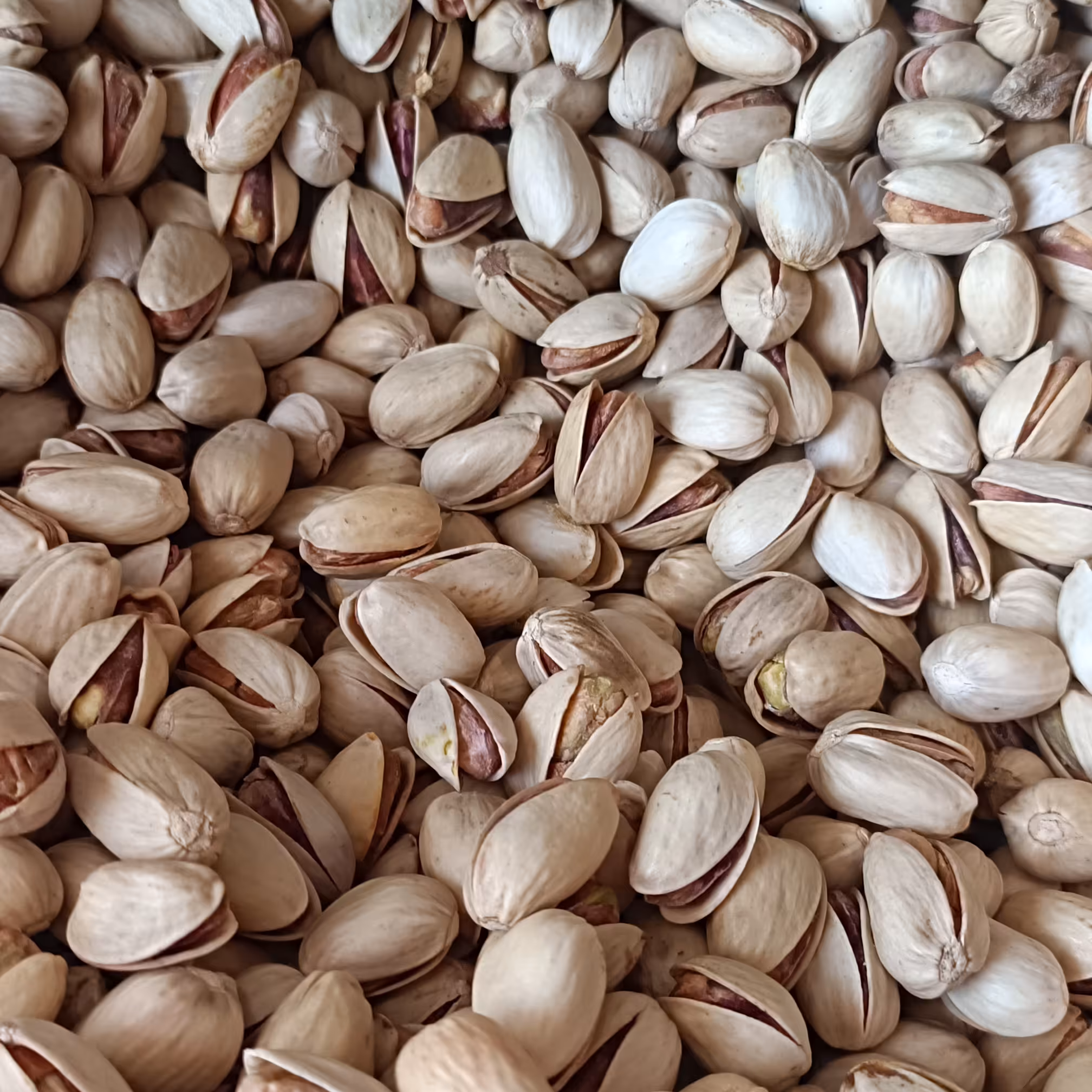 پسته احمد آقایی صادراتی امساله 100 گرمی  با ارسال رایگان