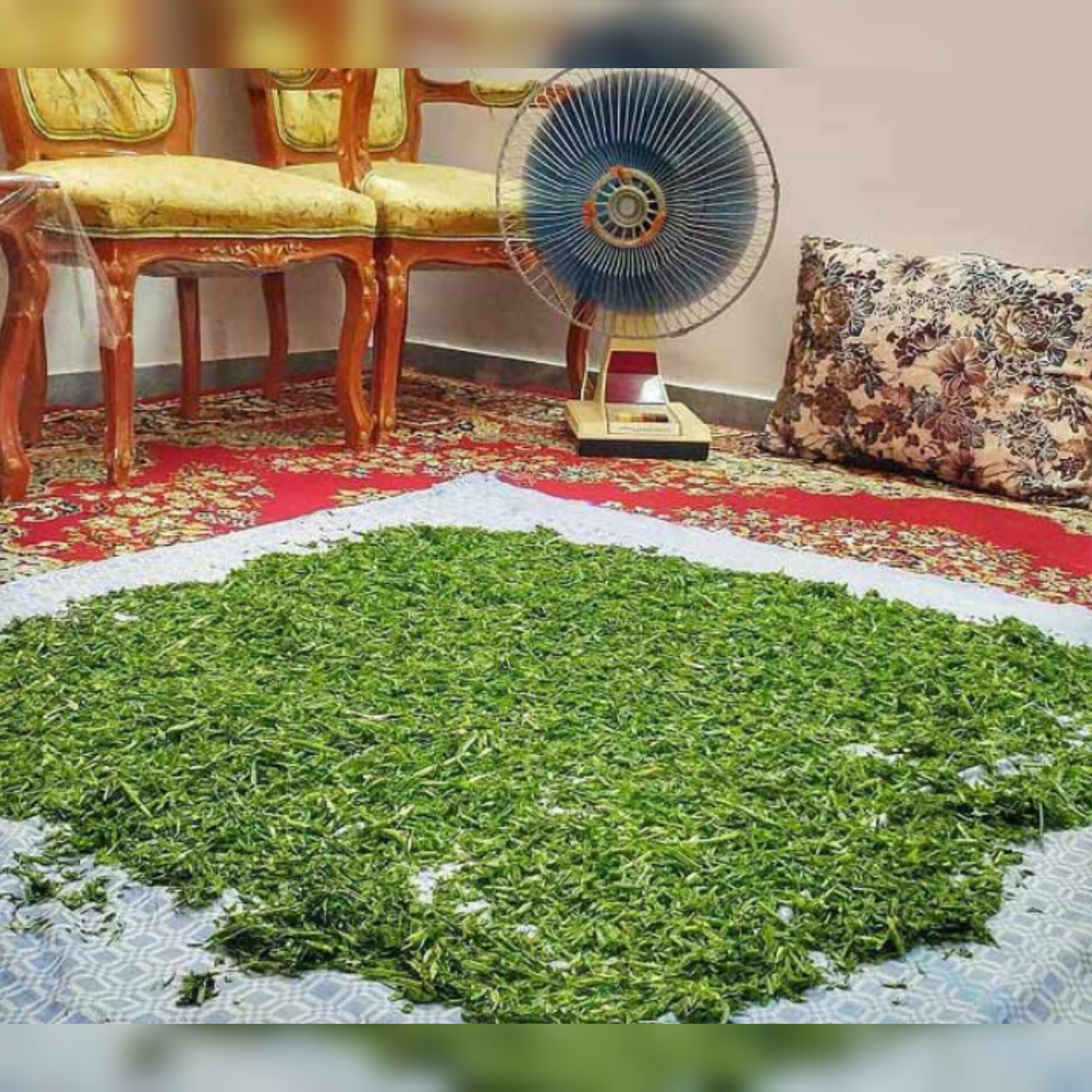 سبزی تازه کوکو