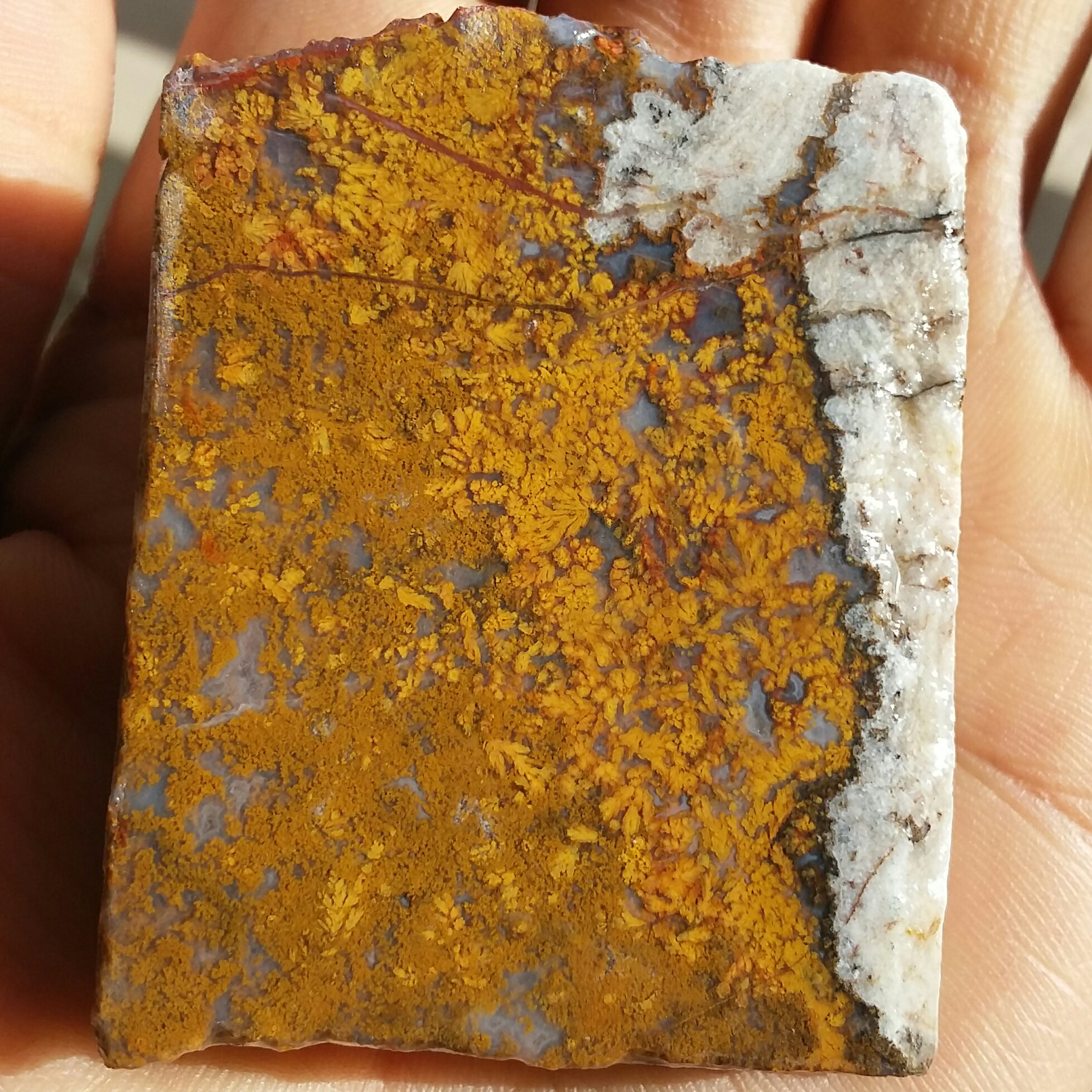 اسلایس سنگ راف شجر پاییزی منظره دو طرفه محشر شاهکار خلقت کاملا طبیعی زیبا
نمونه ای تکرار نشدنی
تابلو نقاشی طبیعی 