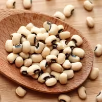 لوبیا چشم بلبلی درجه یک به قیمت عمده