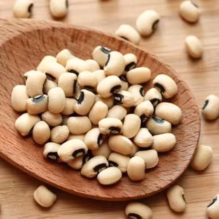 لوبیا چشم بلبلی درجه یک به قیمت عمده