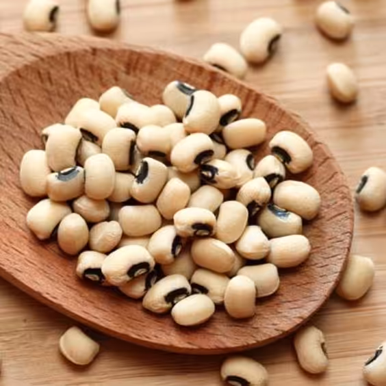 لوبیا چشم بلبلی درجه یک به قیمت عمده