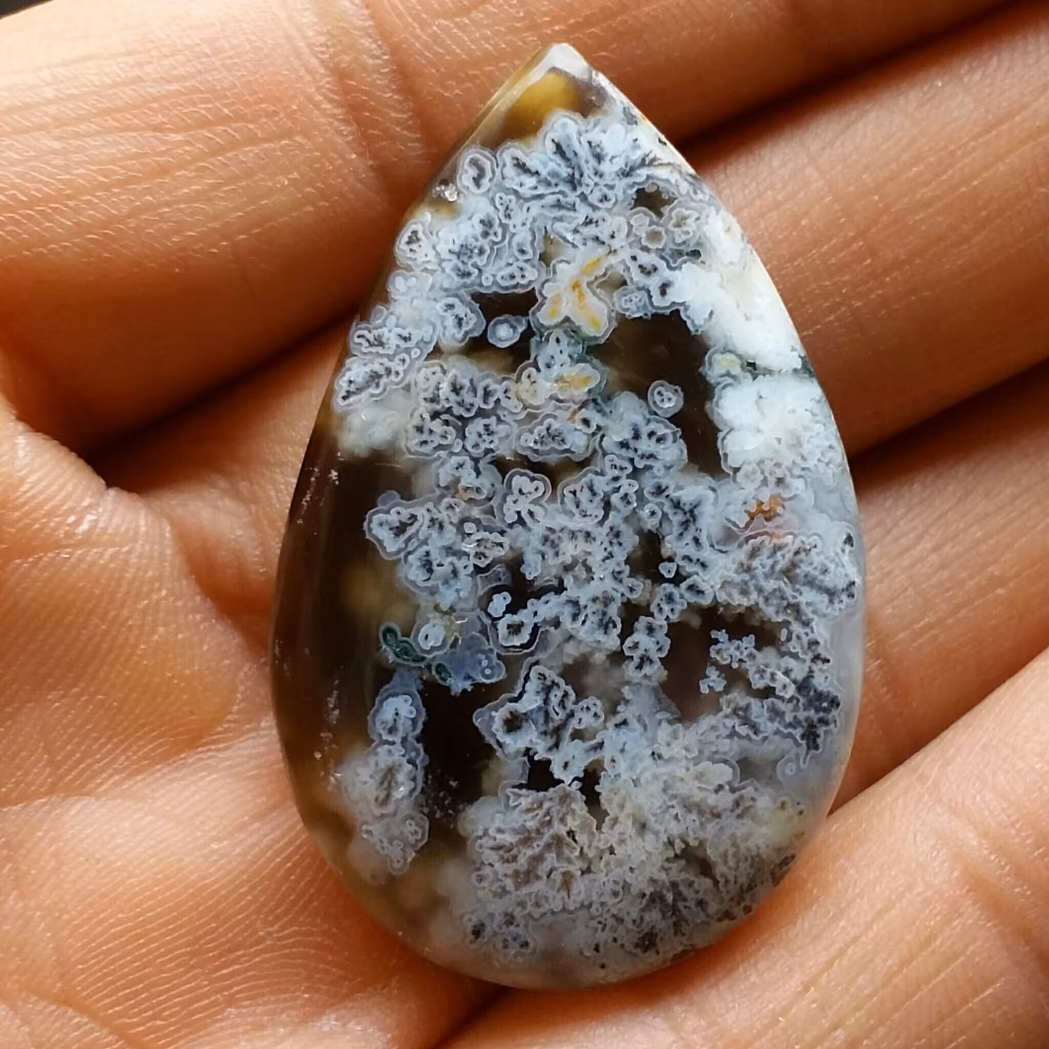 نگین شجر مشکی زمینه خرمایی محشر