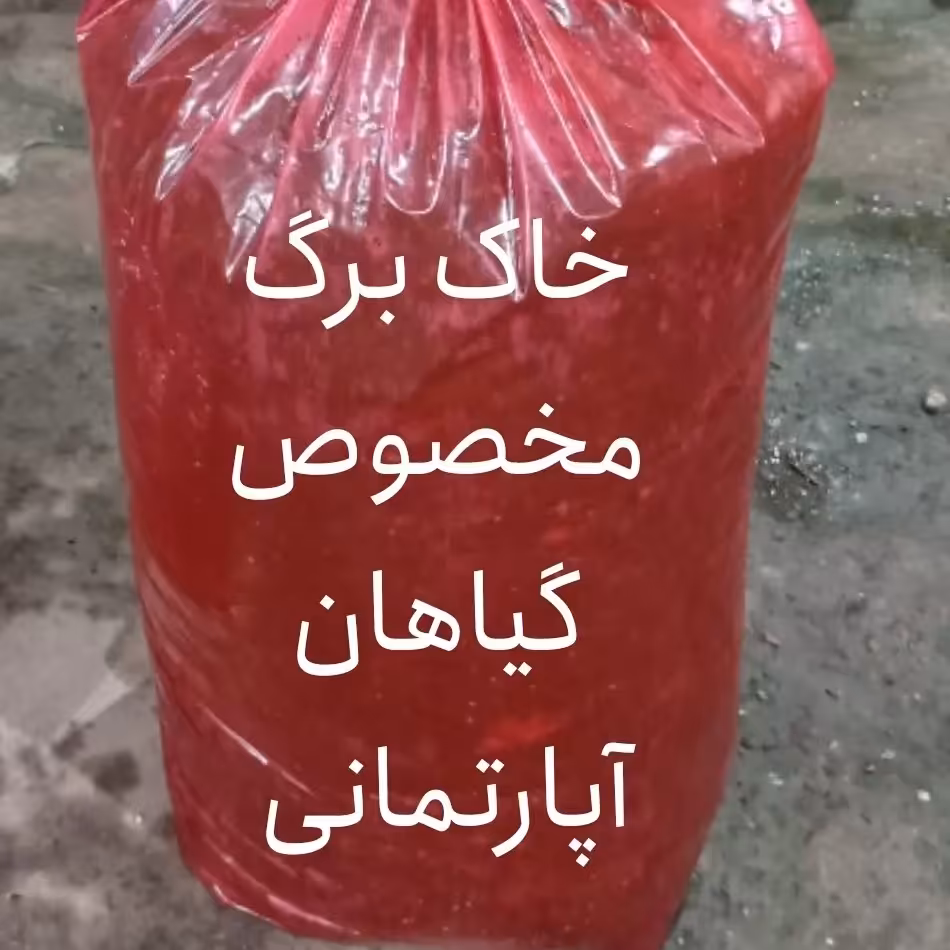خاک برگ گیاهان آپارتمانی 