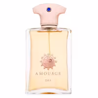 ادو پرفیوم مردانه AMOUAGE Dia حجم 100 میلی لیتر