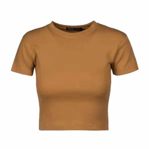 کراپ تاپ آستین کوتاه زنانه مدل Sb-M-01845-br