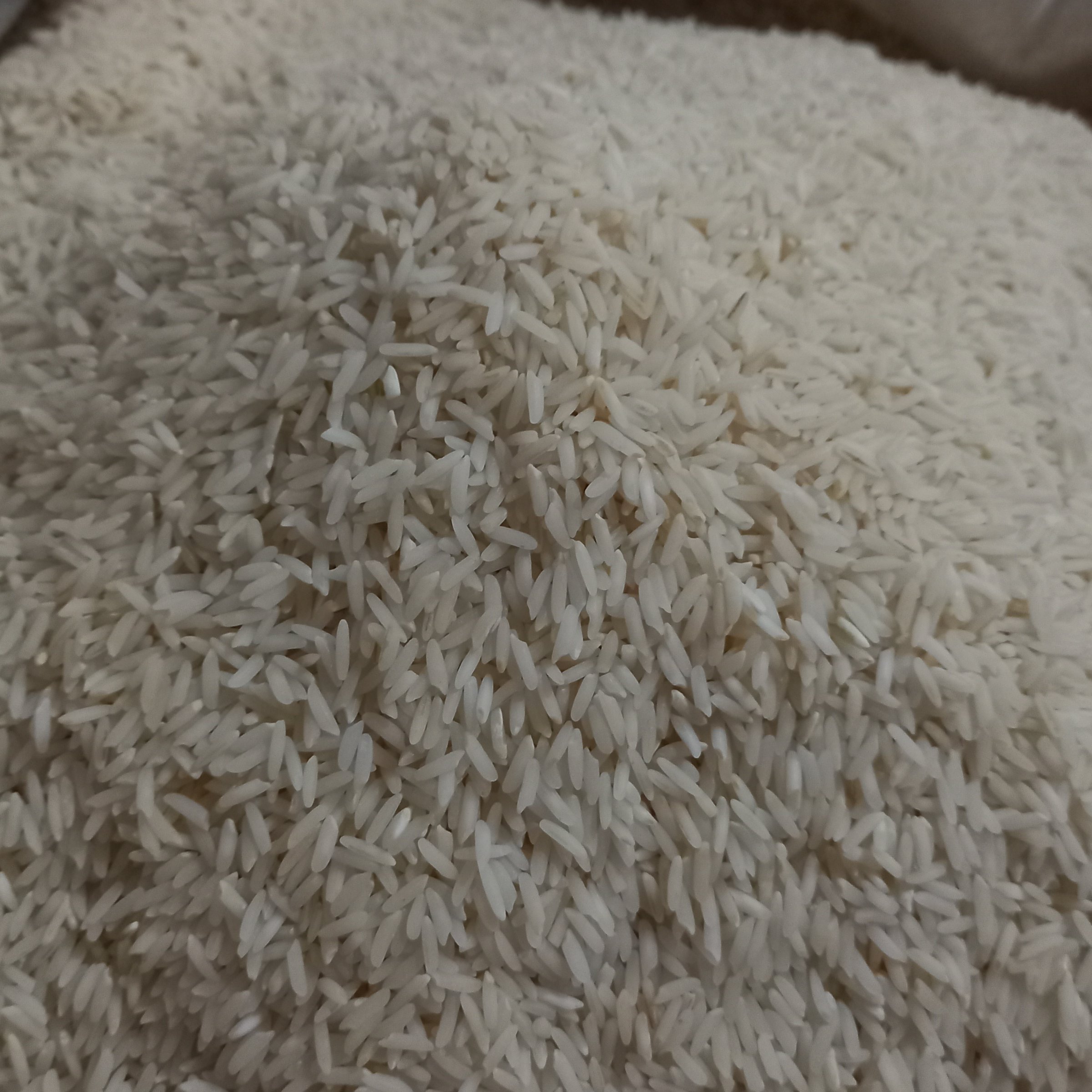 برنج طارم هاشمی بوجاری شده محلی