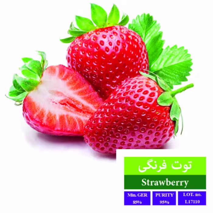 بذر توت فرنگی بذر طلایی رویان 