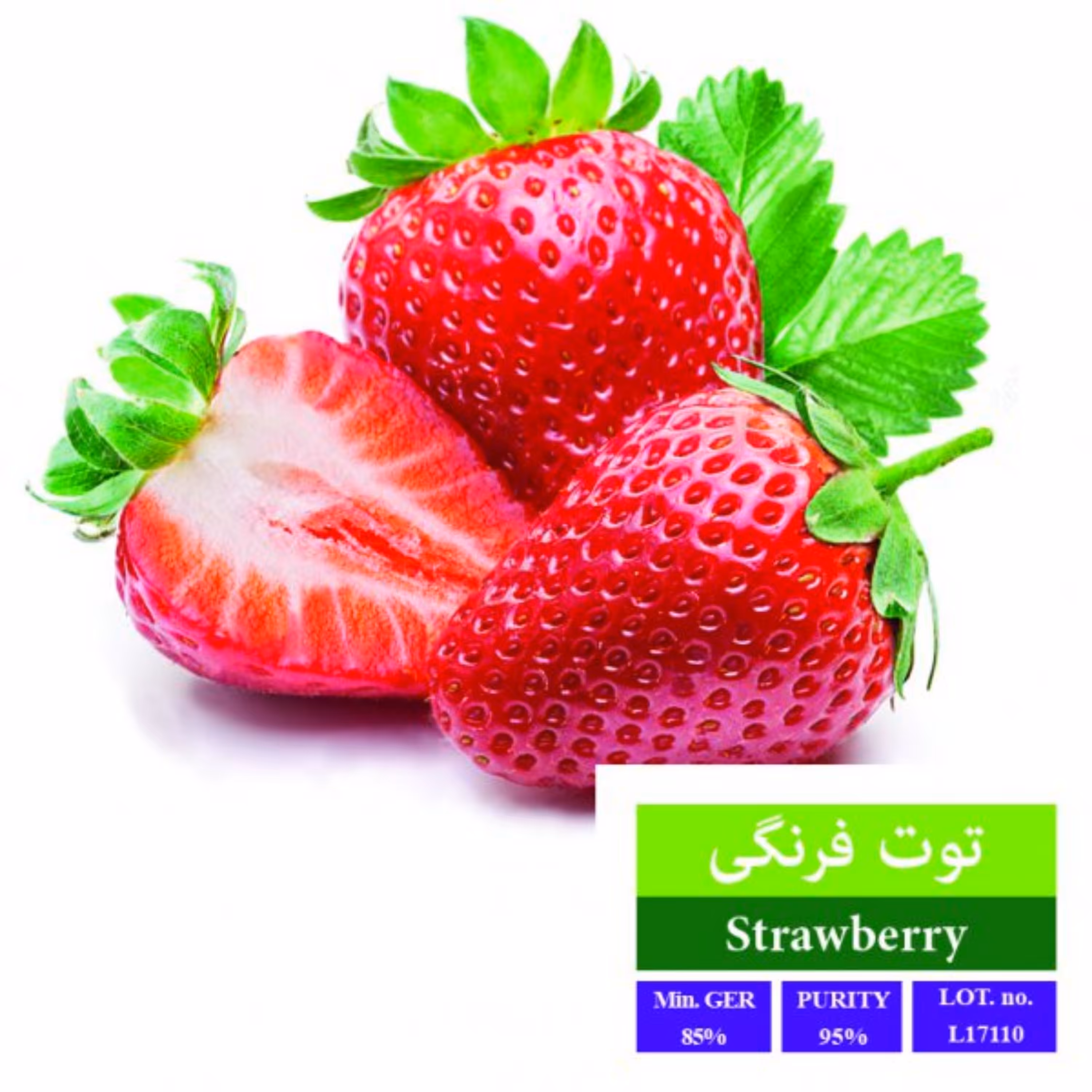 بذر توت فرنگی بذر طلایی رویان 