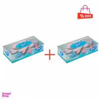 دستمال کاغذی جعبه ای تنو (Teno) بسته 100 برگ مجموعه 2 عددی