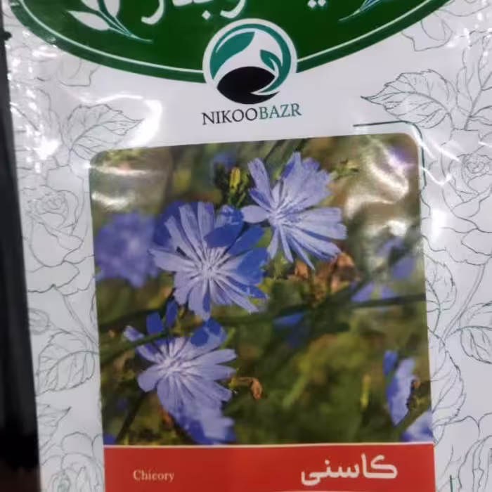 بذر کاسنی