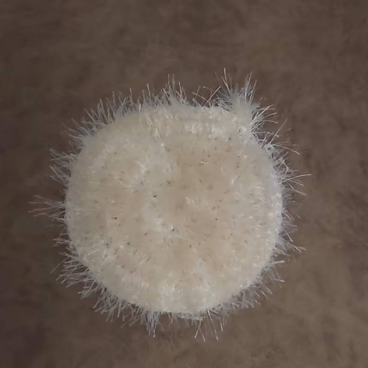 اسکاچ یوموش