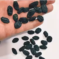 مویز شاهانی بدون هسته باکیفیت صادراتی(500گرم)