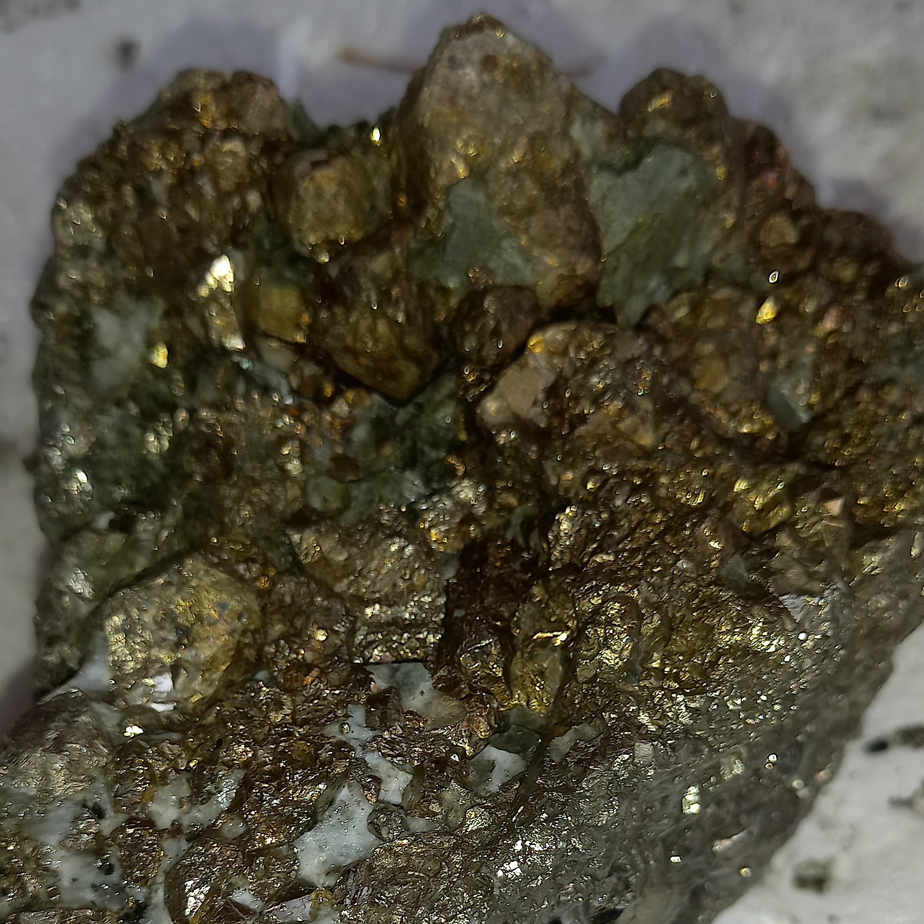 راف پیریت طلایی غول پیکر  یتیکه خالص کلکسیونی