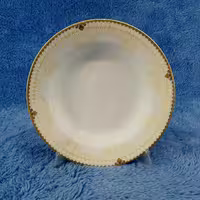 بشقاب گود خورشت خوری 23 سانت چینی پارس طرح 1896 بسته 6 عددی
