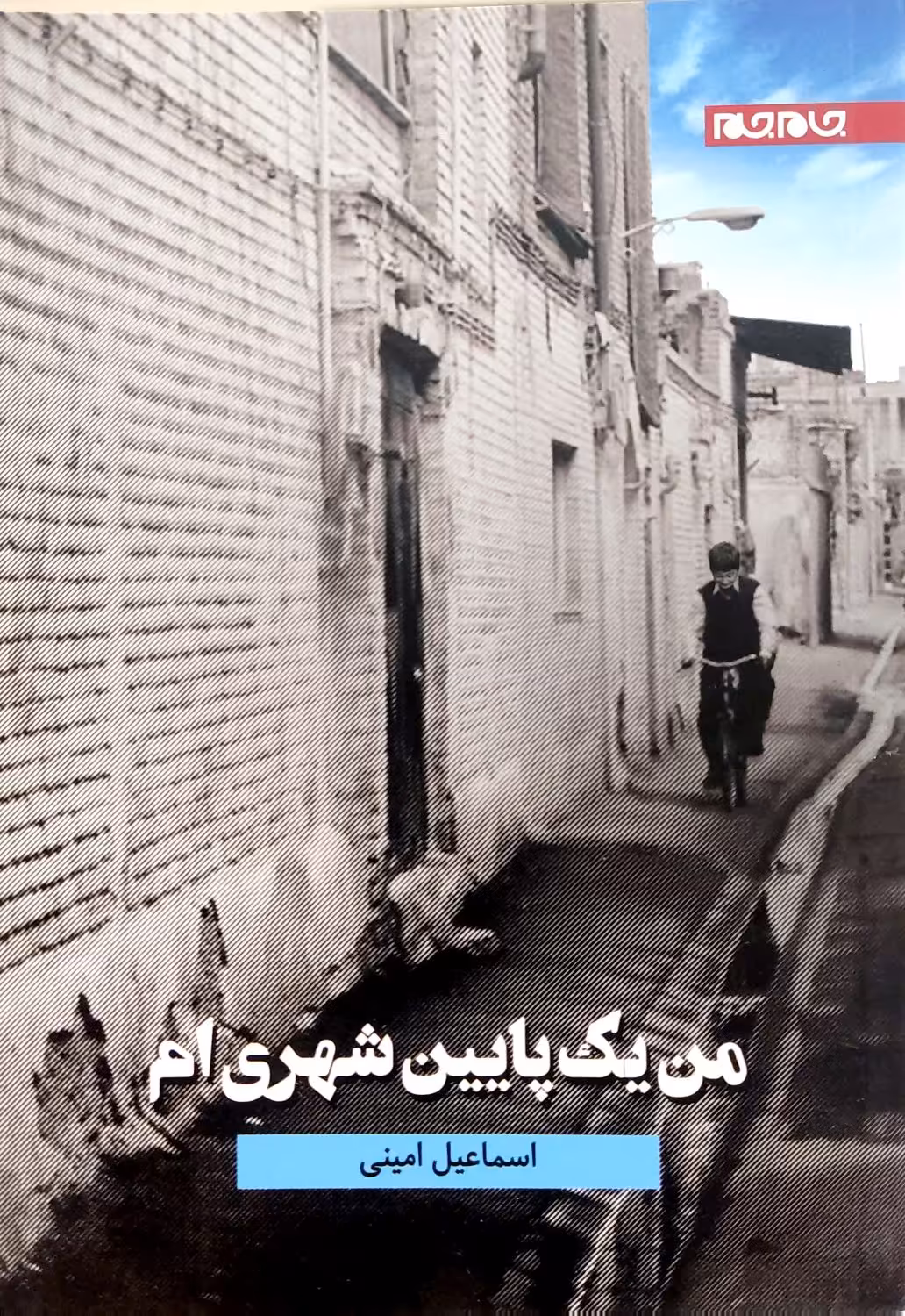 کتاب من یک پایین شهری ام