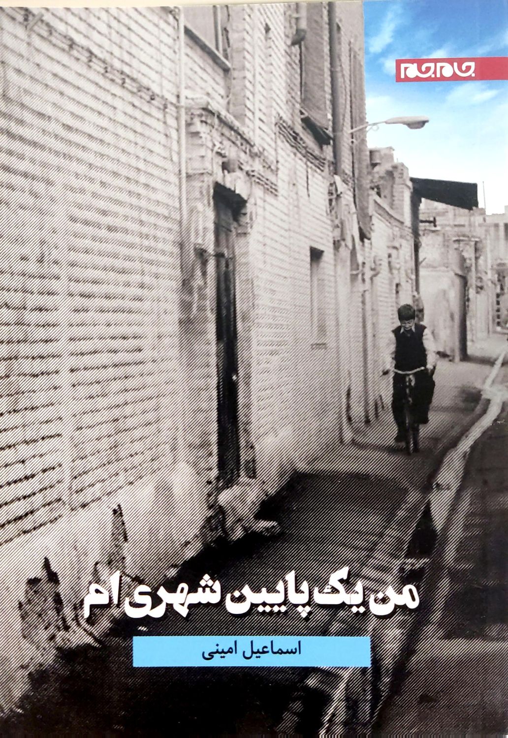 کتاب من یک پایین شهری ام