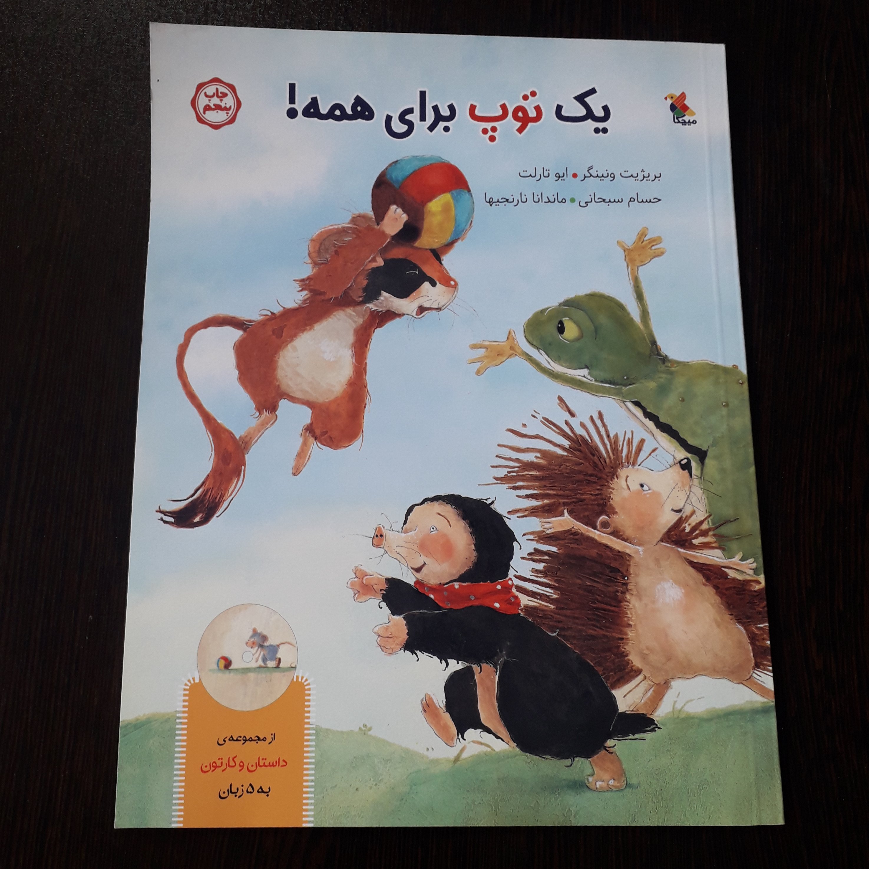 کتاب : یک توپ برای همه ، نویسنده : بریژیت ونینگر و ایو تالت ، مترجم : حسام سبحانی و ماندانا نارنجیها