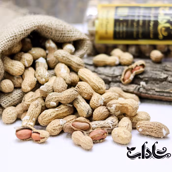 بادام زمینی باپوست شور 500گرمی(بو داده)