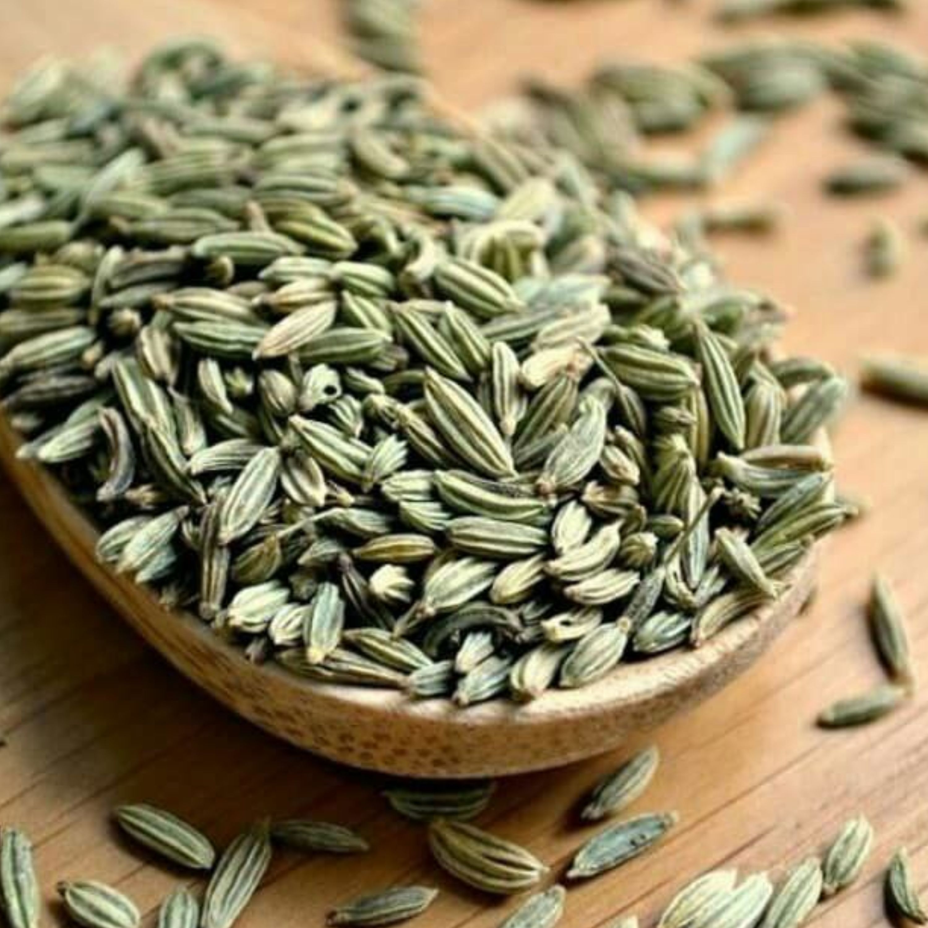 رازیانه تمیز و اعلاء 100 گرمی