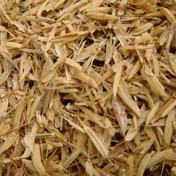 پوست برنج 500 گرم (گل و گلدان) ارسال از گیلان هزینه ارسال برعهده مشتری