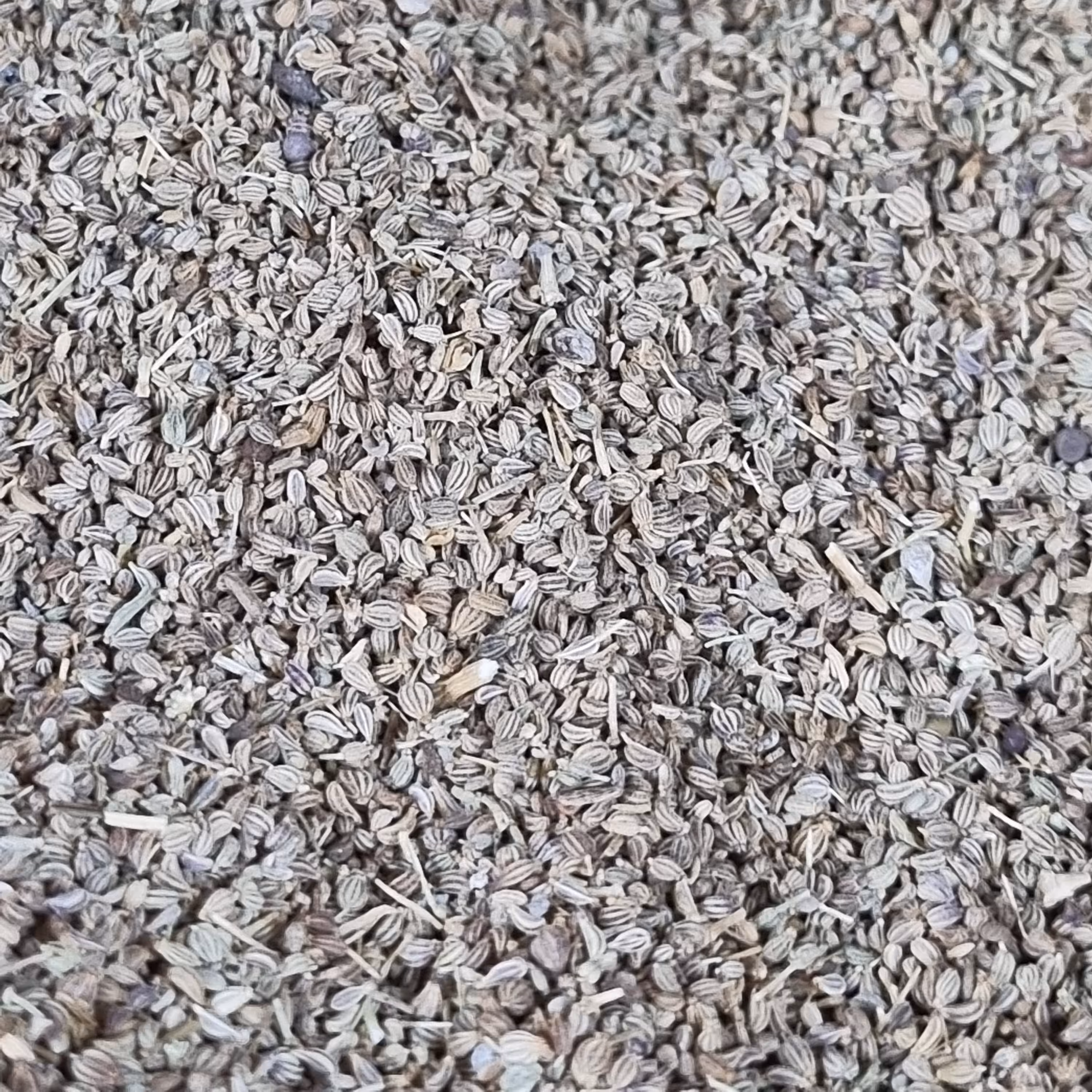 زنیان ( خردانه ) نیم کیلو 