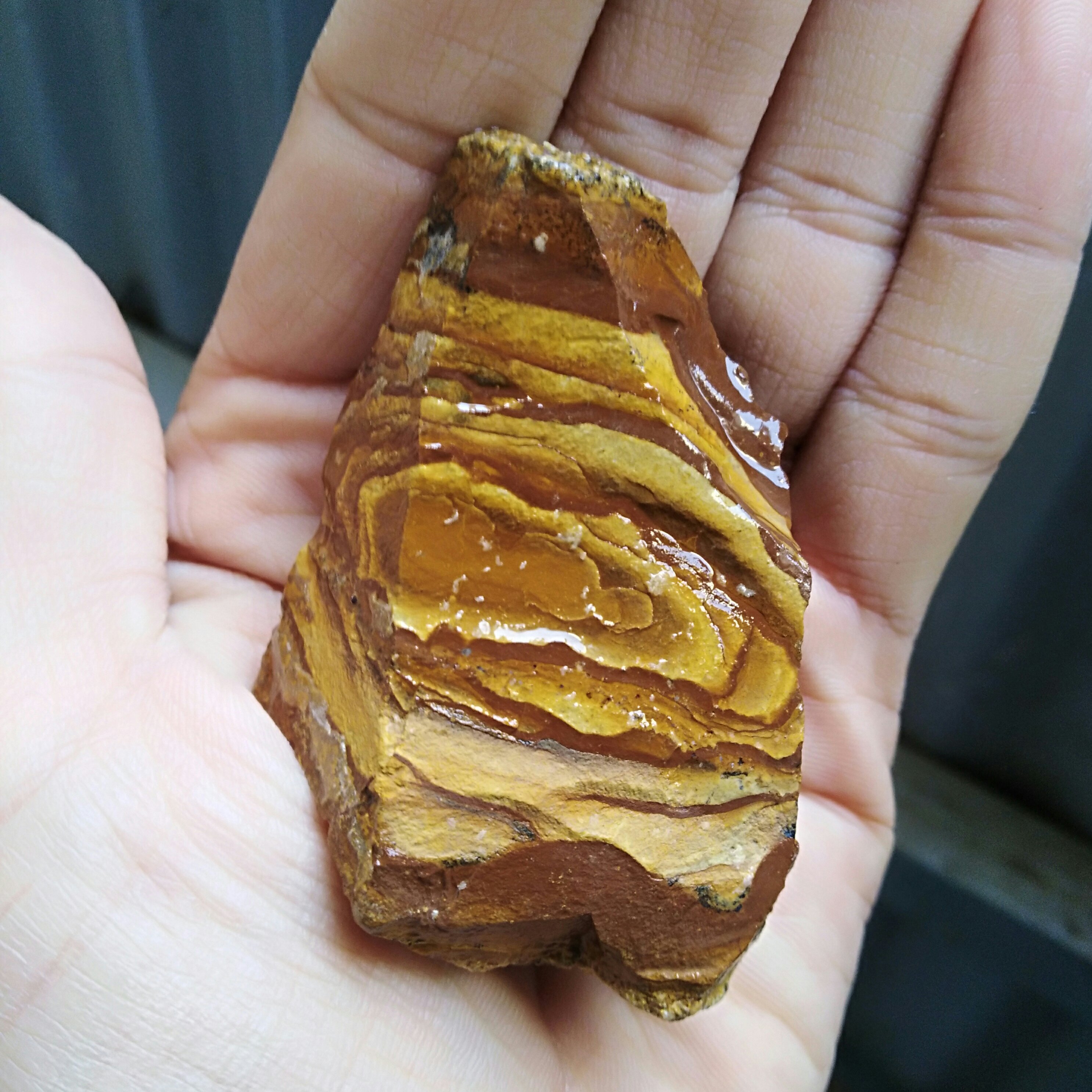 راف جاسپر پیکچر بسیار زیبا کاملا طبیعی