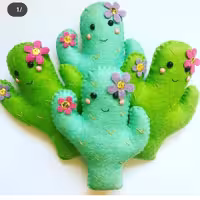 کاکتوس نمدی 