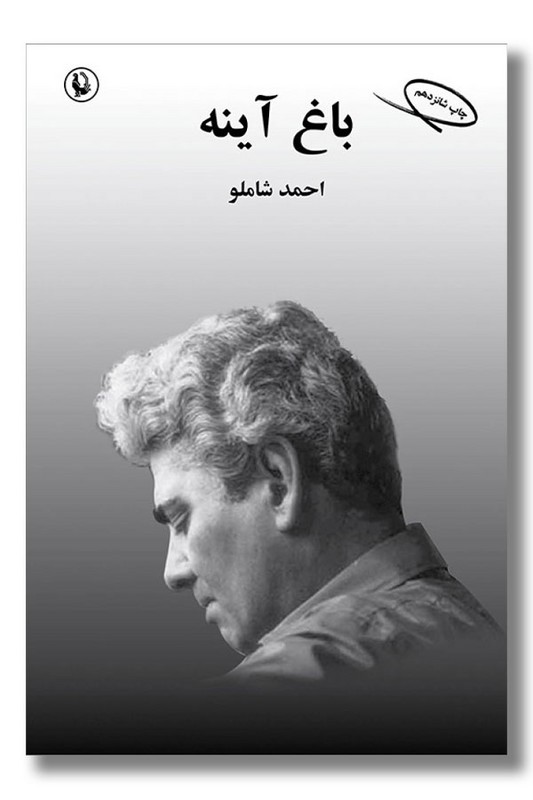 کتاب باغ آینه