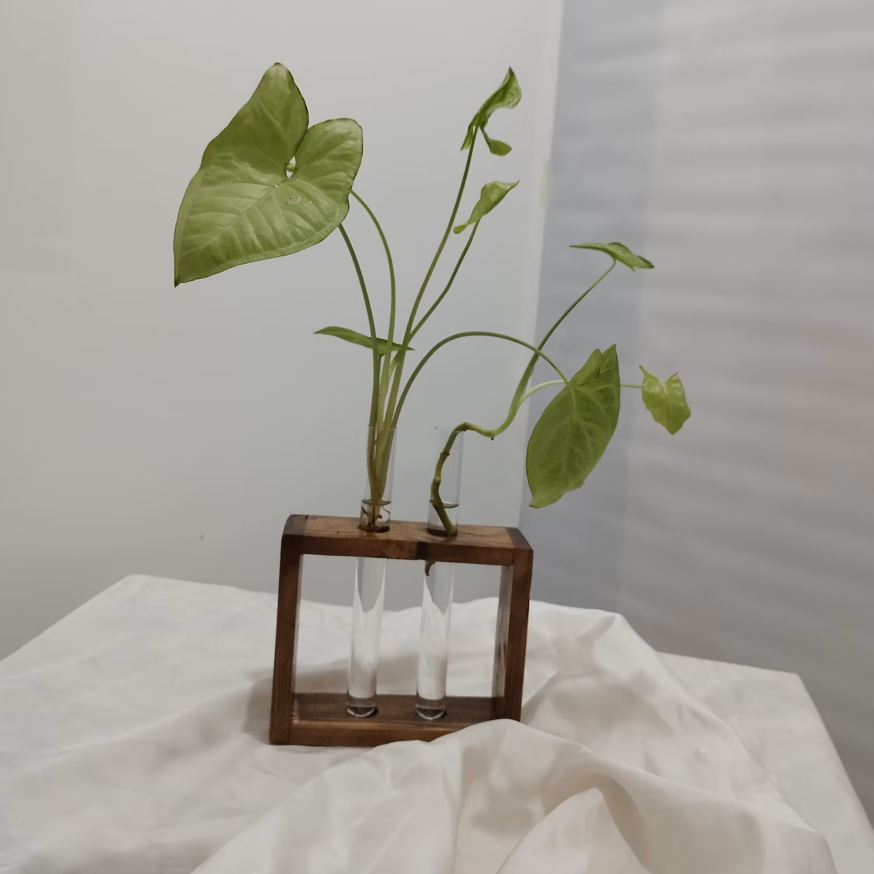 استند گل سایز متوسط