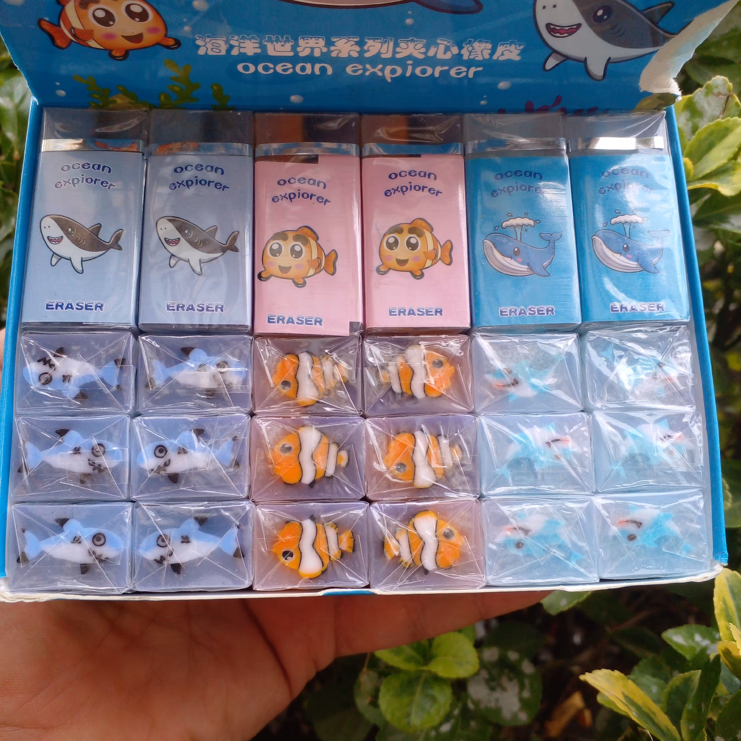 پاکن مغزدار طرح ماهی کوسه دلفین ژله ای 